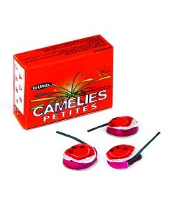 Camelias Peque�as